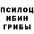 Галлюциногенные грибы Psilocybine cubensis Roman Rozenfeld