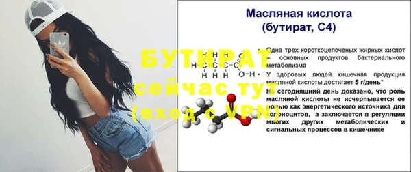 шишки Аркадак