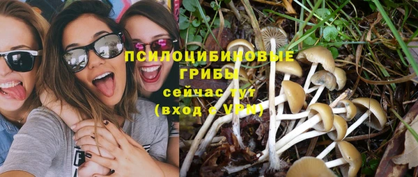 mdpv Алзамай