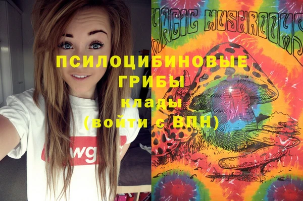 мдпв Армянск