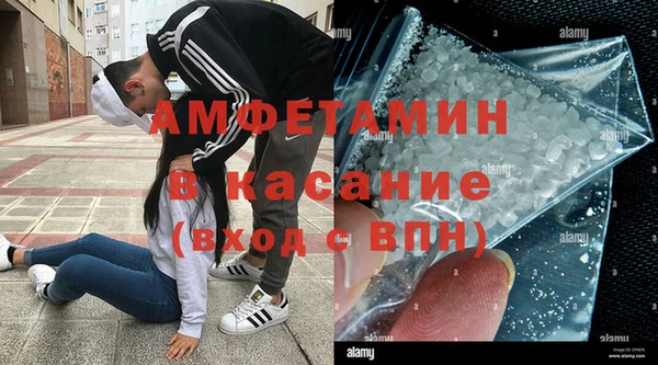 шишки Аркадак