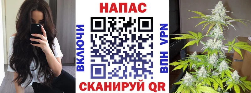Бошки Шишки AK-47  Купить где  Грязовец 